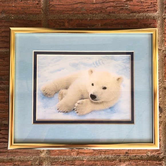 Framed Photograph of Baby Polar Bear Cub Laying in the Snow 10 1/4” x 8 1/2” - Picture 1 of 3